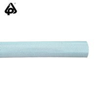 IPL透明網(wǎng)紋管B1