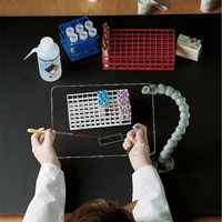 安全防濺防護罩（PC） 6356