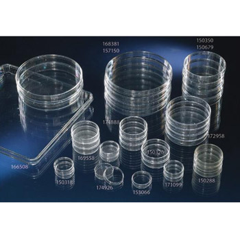 培養皿 Nunclon/懸浮細胞表面