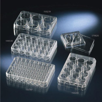 多孔懸浮細胞培養板