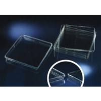 Bio-Assay 方形篩選培養(yǎng)皿